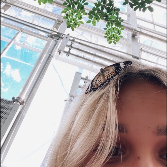 jettajohnson20
